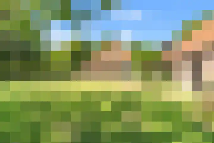 Klein Dorregeest 6 Akersloot thumbnail 65