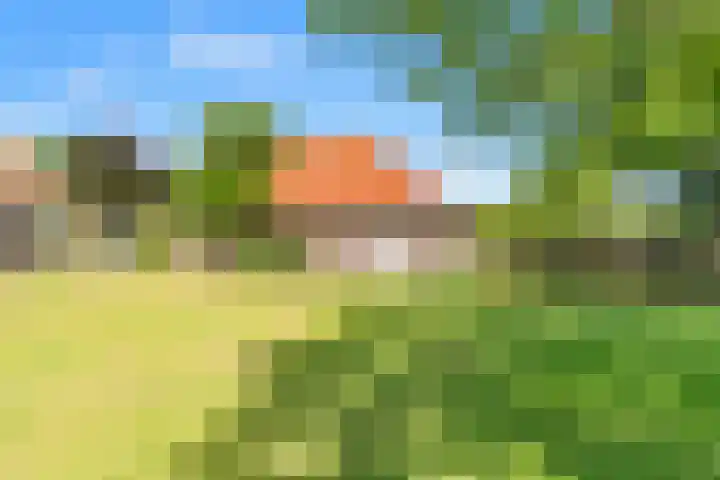 Klein Dorregeest 6 Akersloot thumbnail 66