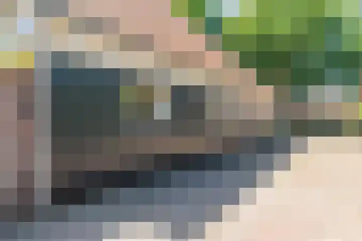 Klein Dorregeest 6 Akersloot thumbnail 67