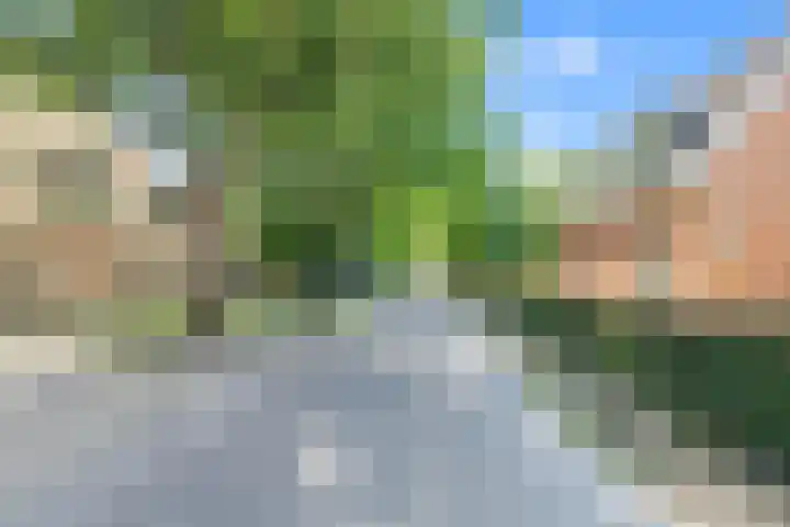 Klein Dorregeest 6 Akersloot thumbnail 68
