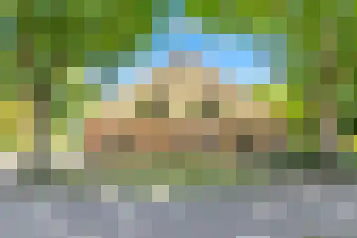 Klein Dorregeest 6 Akersloot thumbnail 69