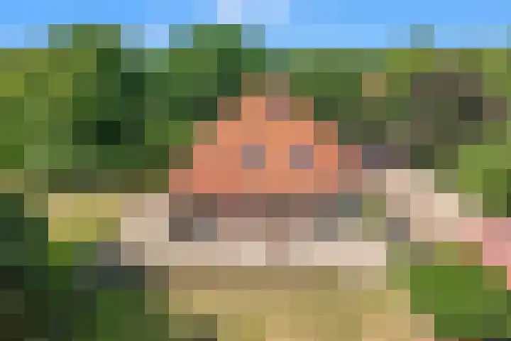 Klein Dorregeest 6 Akersloot thumbnail 71