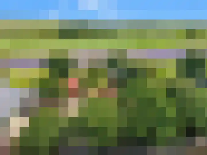 Klein Dorregeest 6 Akersloot thumbnail 72