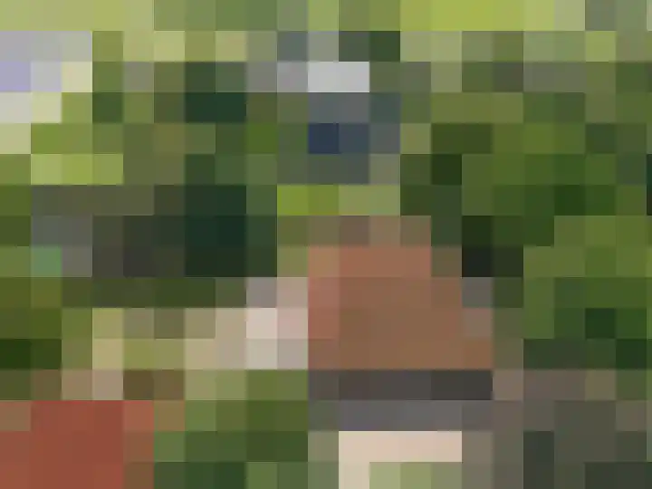 Klein Dorregeest 6 Akersloot thumbnail 73