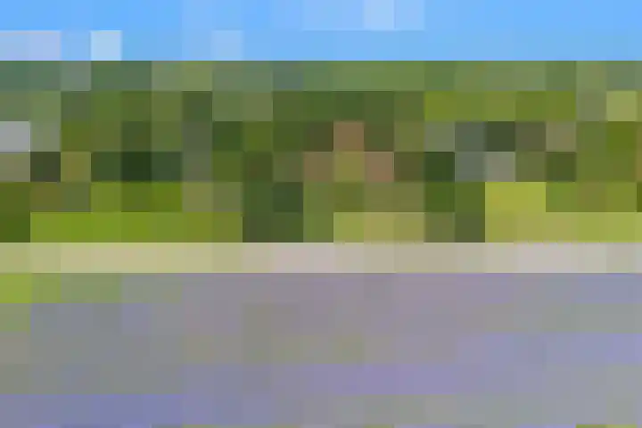 Klein Dorregeest 6 Akersloot thumbnail 74