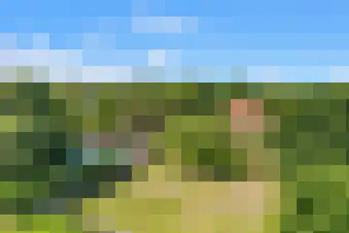 Klein Dorregeest 6 Akersloot thumbnail 75