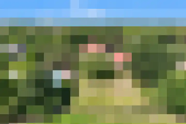 Klein Dorregeest 6 Akersloot thumbnail 76