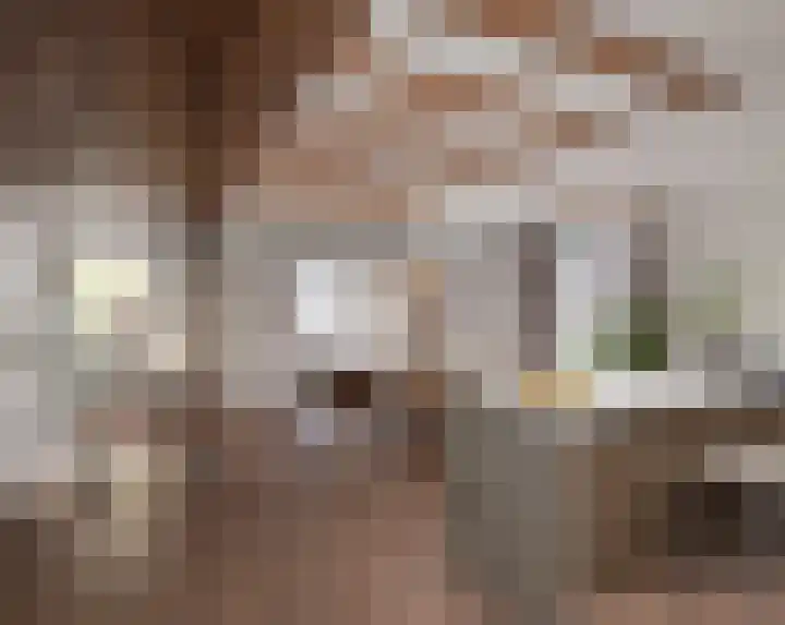 Klein Dorregeest 6 Akersloot thumbnail 8