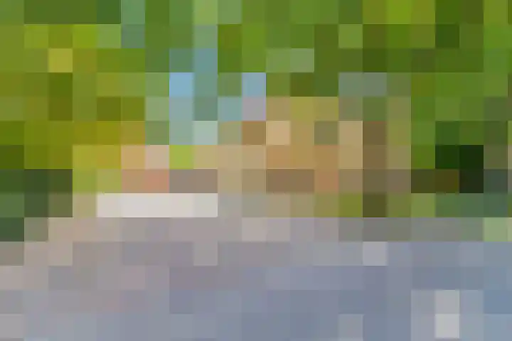 Klein Dorregeest 6 Akersloot thumbnail 88