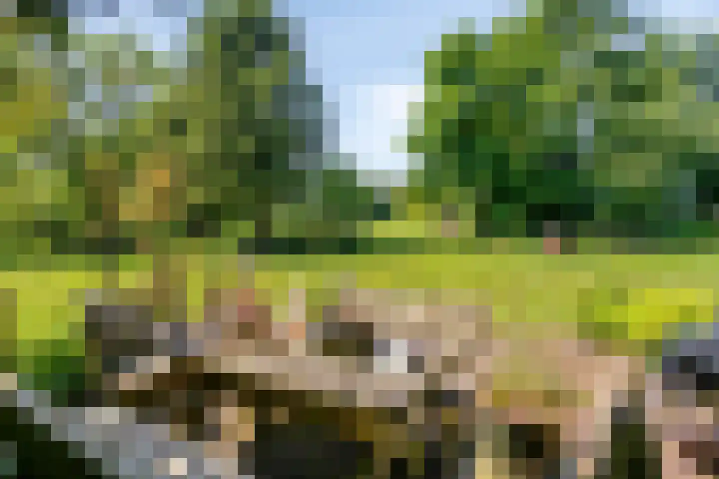 Klein Dorregeest 7 b Akersloot thumbnail 40