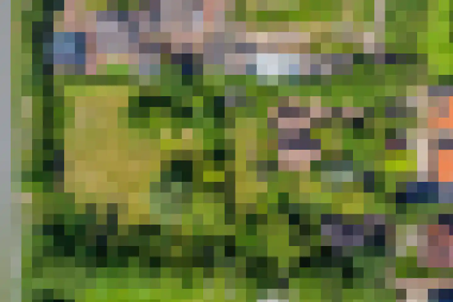 Klein Dorregeest 7 b Akersloot thumbnail 44