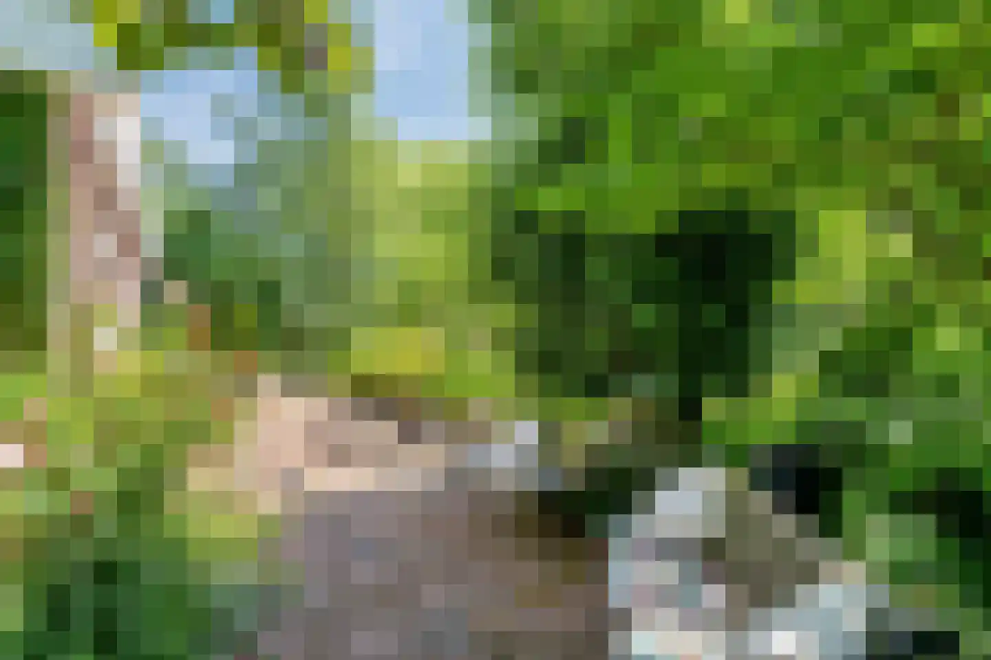 Klein Dorregeest 7 b Akersloot thumbnail 45