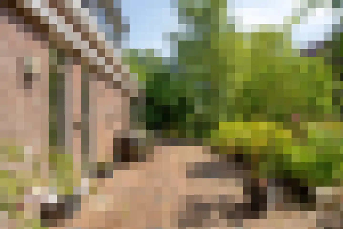 Klein Dorregeest 7 b Akersloot thumbnail 46