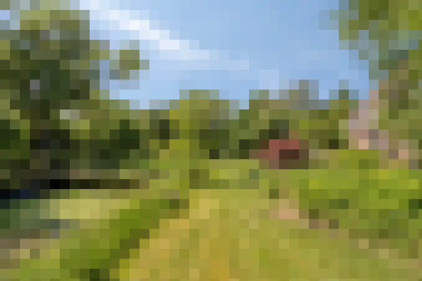 Klein Dorregeest 7 b Akersloot thumbnail 48