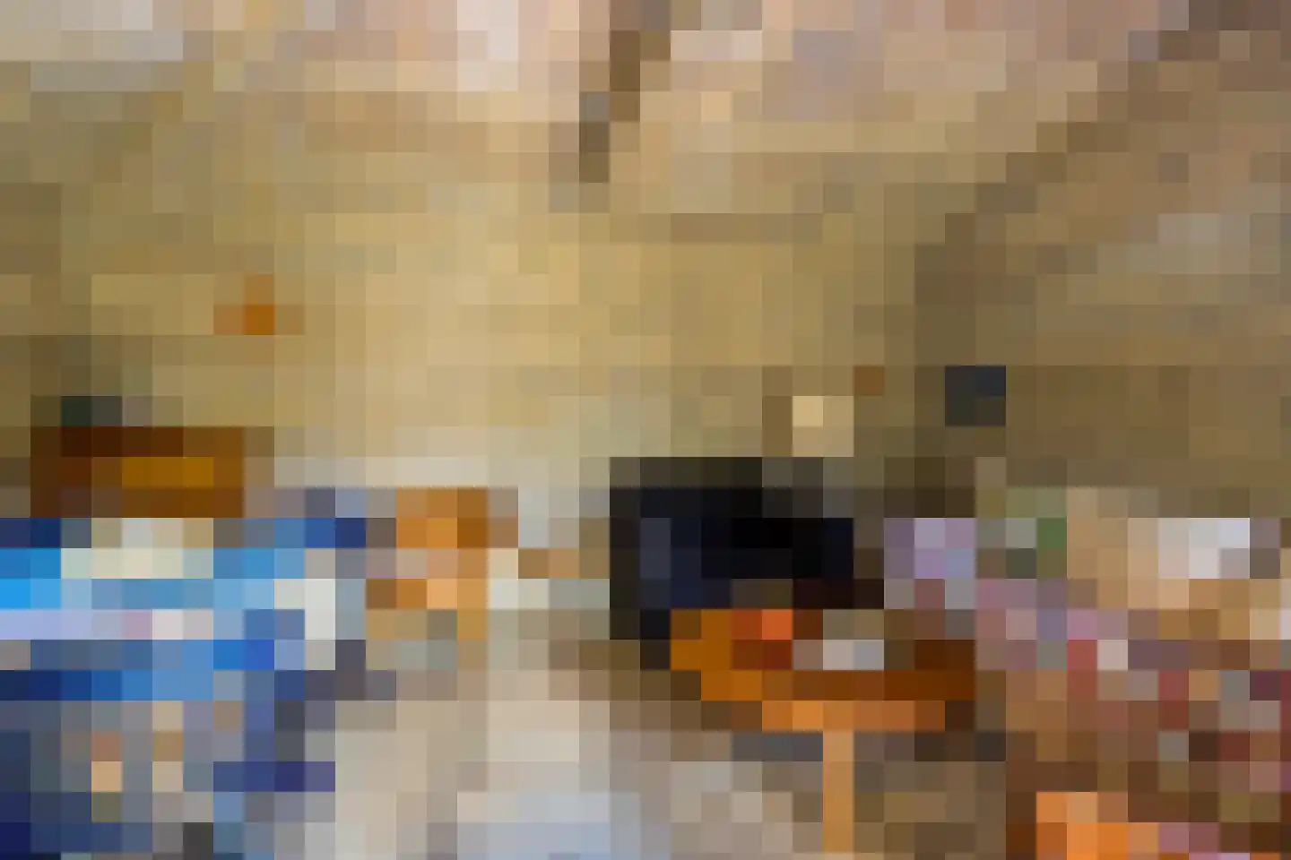 Klein Dorregeest 7 b Akersloot thumbnail 57
