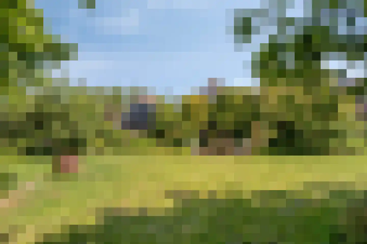 Klein Dorregeest 7 b Akersloot thumbnail 58