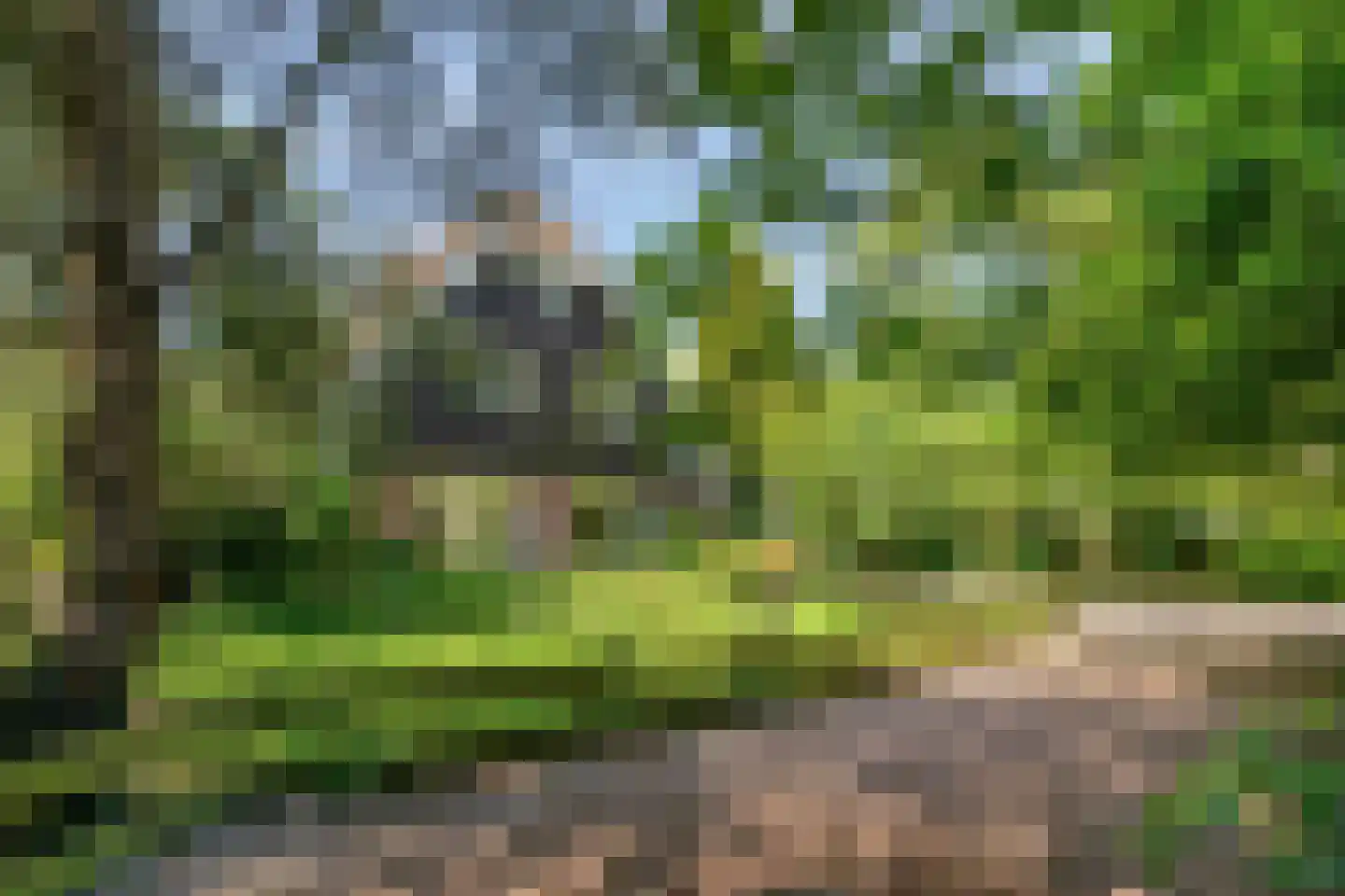 Klein Dorregeest 7 b Akersloot thumbnail 59
