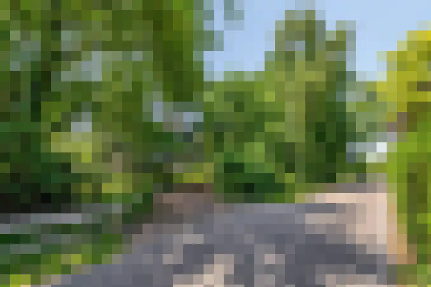 Klein Dorregeest 7 b Akersloot thumbnail 60