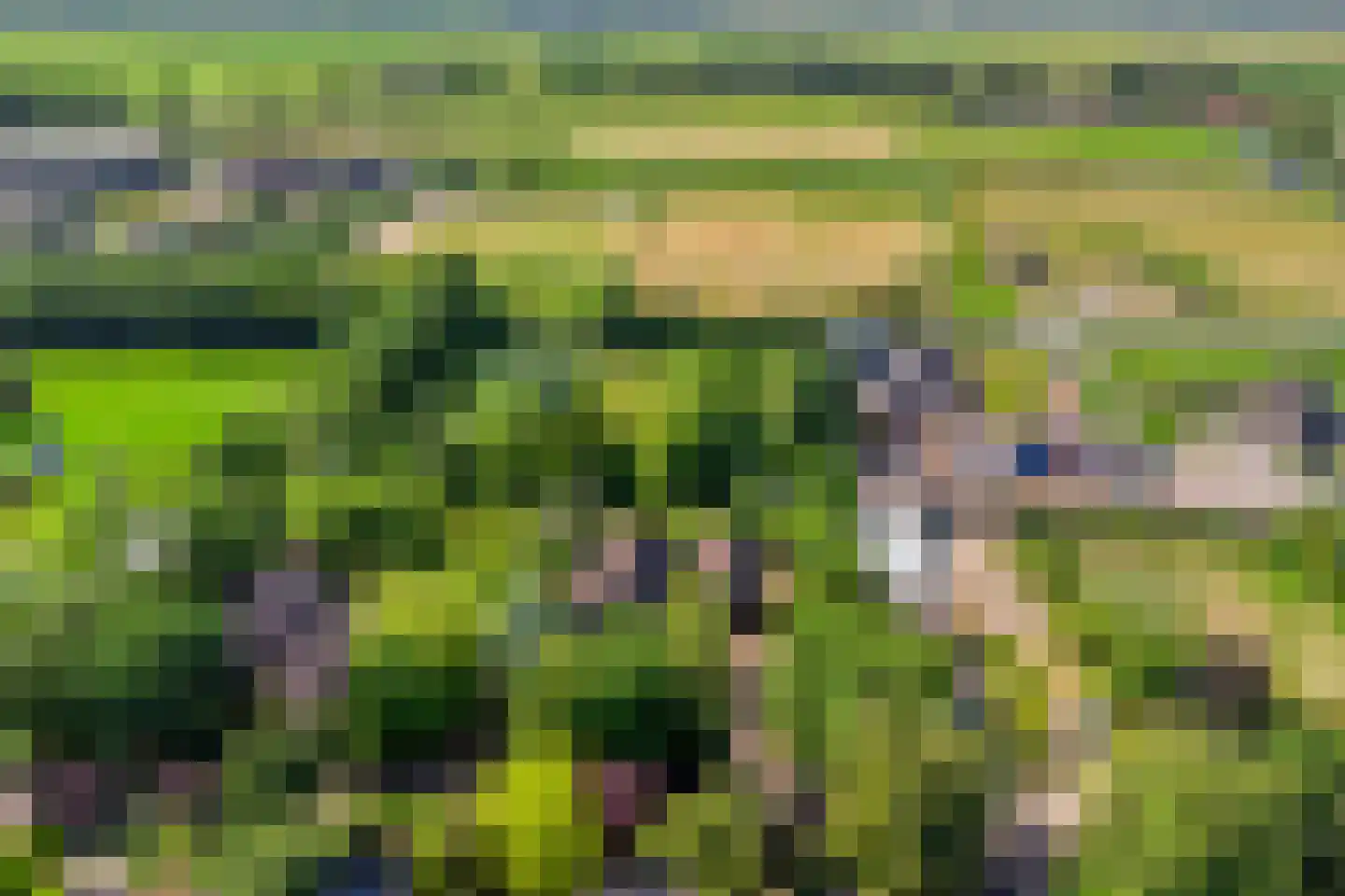 Klein Dorregeest 7 b Akersloot thumbnail 64