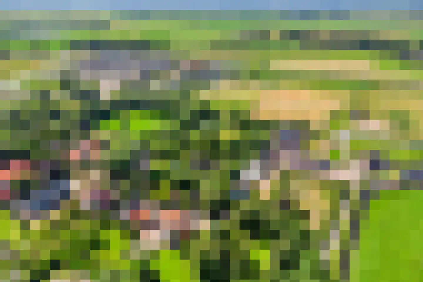 Klein Dorregeest 7 b Akersloot thumbnail 65