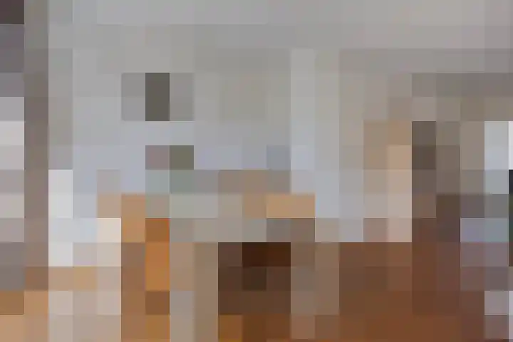 Klein Dorsent 17 Erp thumbnail 10