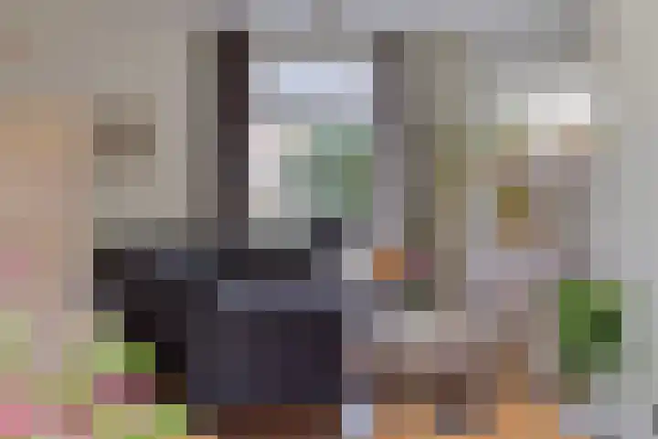 Klein Dorsent 17 Erp thumbnail 12