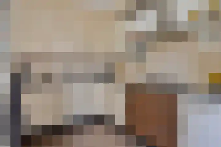 Klein Dorsent 17 Erp thumbnail 14