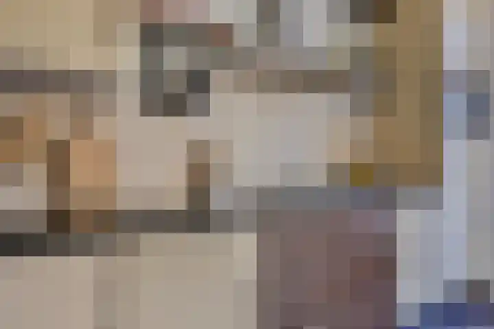 Klein Dorsent 17 Erp thumbnail 15