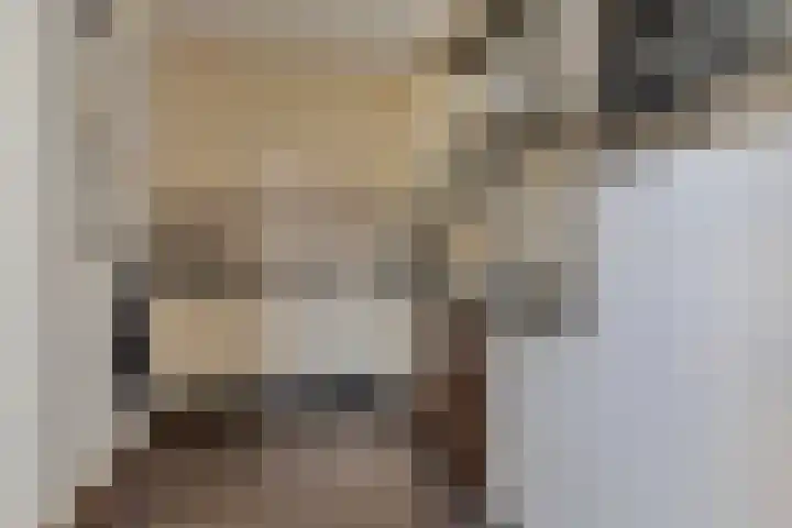 Klein Dorsent 17 Erp thumbnail 16
