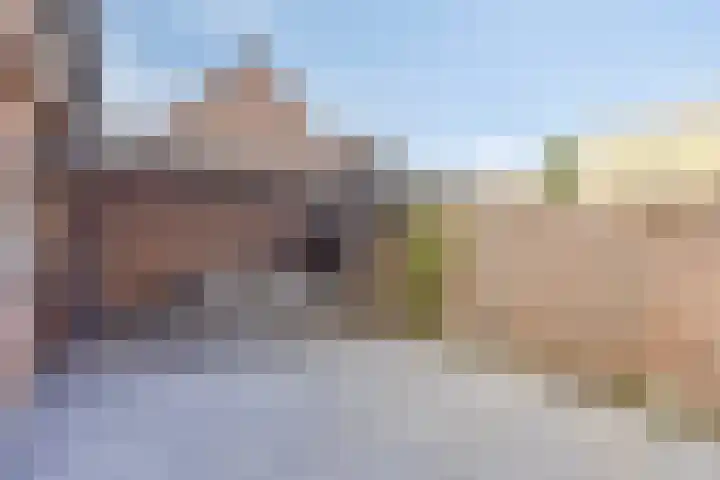 Klein Dorsent 17 Erp thumbnail 26