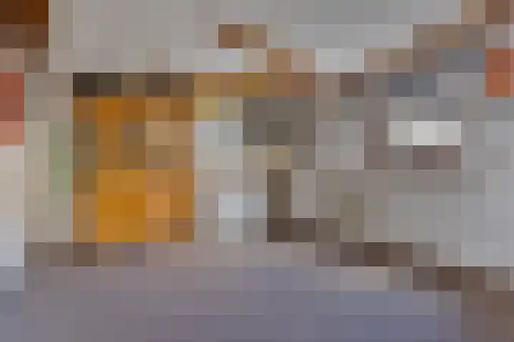 Klein Dorsent 17 Erp thumbnail 30