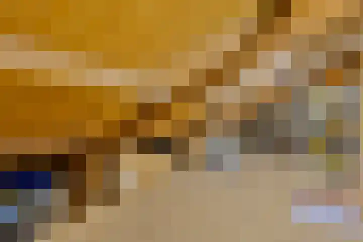 Klein Dorsent 17 Erp thumbnail 33