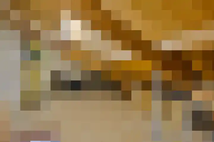 Klein Dorsent 17 Erp thumbnail 34