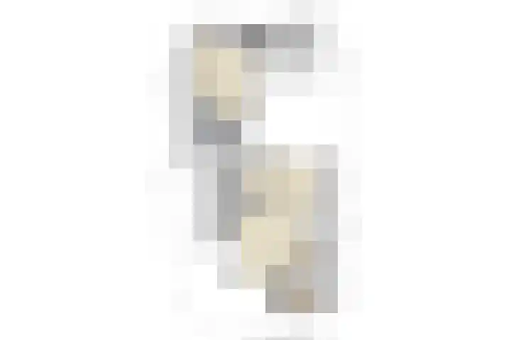Klein Dorsent 17 Erp thumbnail 35