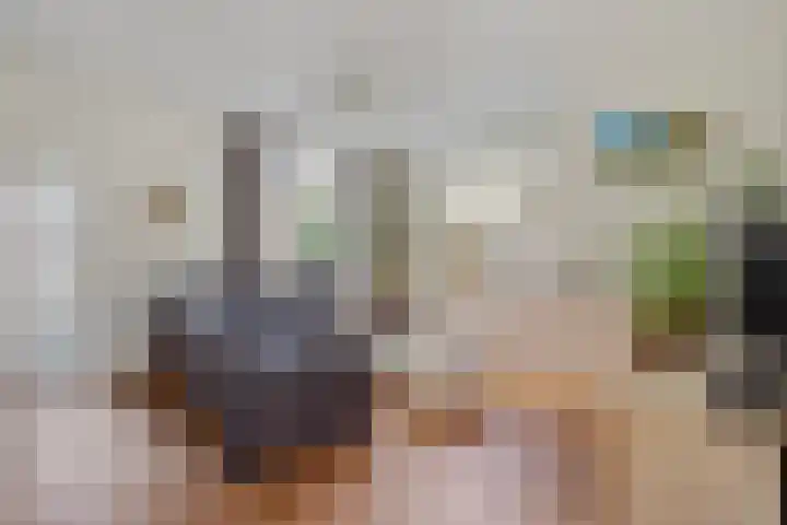 Klein Dorsent 17 Erp thumbnail 7