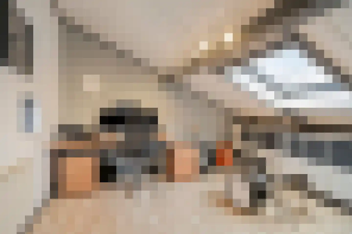 Klein Duimpje 7 Eindhoven thumbnail 32