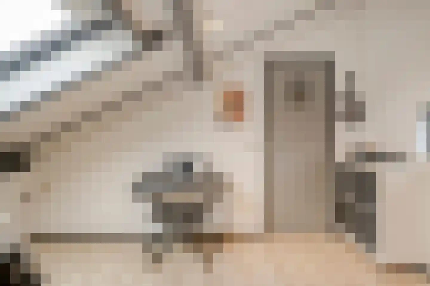 Klein Duimpje 7 Eindhoven thumbnail 33