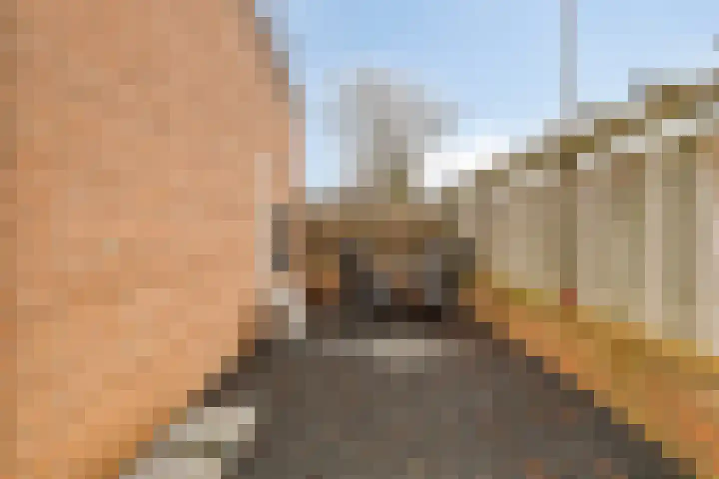 Klein Duimpje 7 Eindhoven thumbnail 37