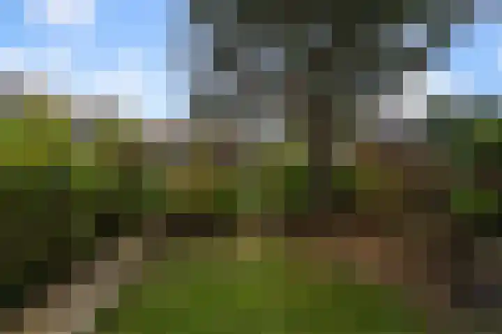 Klein Engeland 2 Westzaan thumbnail 10