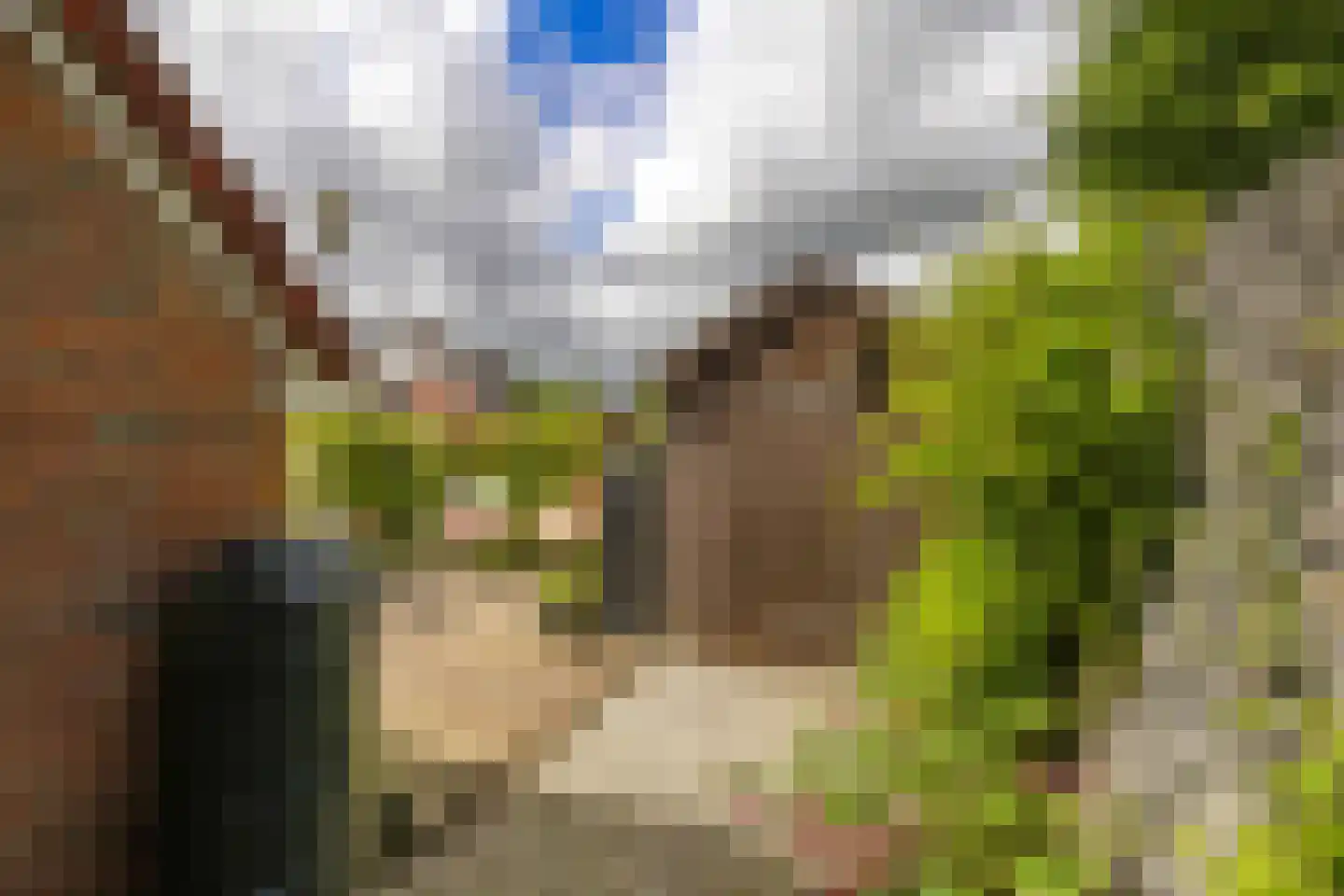 Klein Frankrijk 1 Zuidhorn thumbnail 36