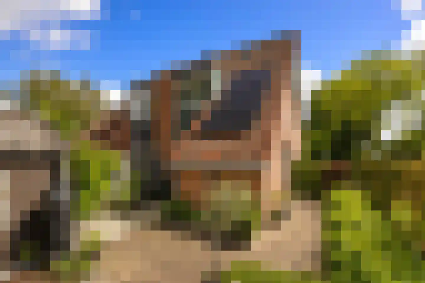 Klein Frankrijk 1 Zuidhorn thumbnail 39