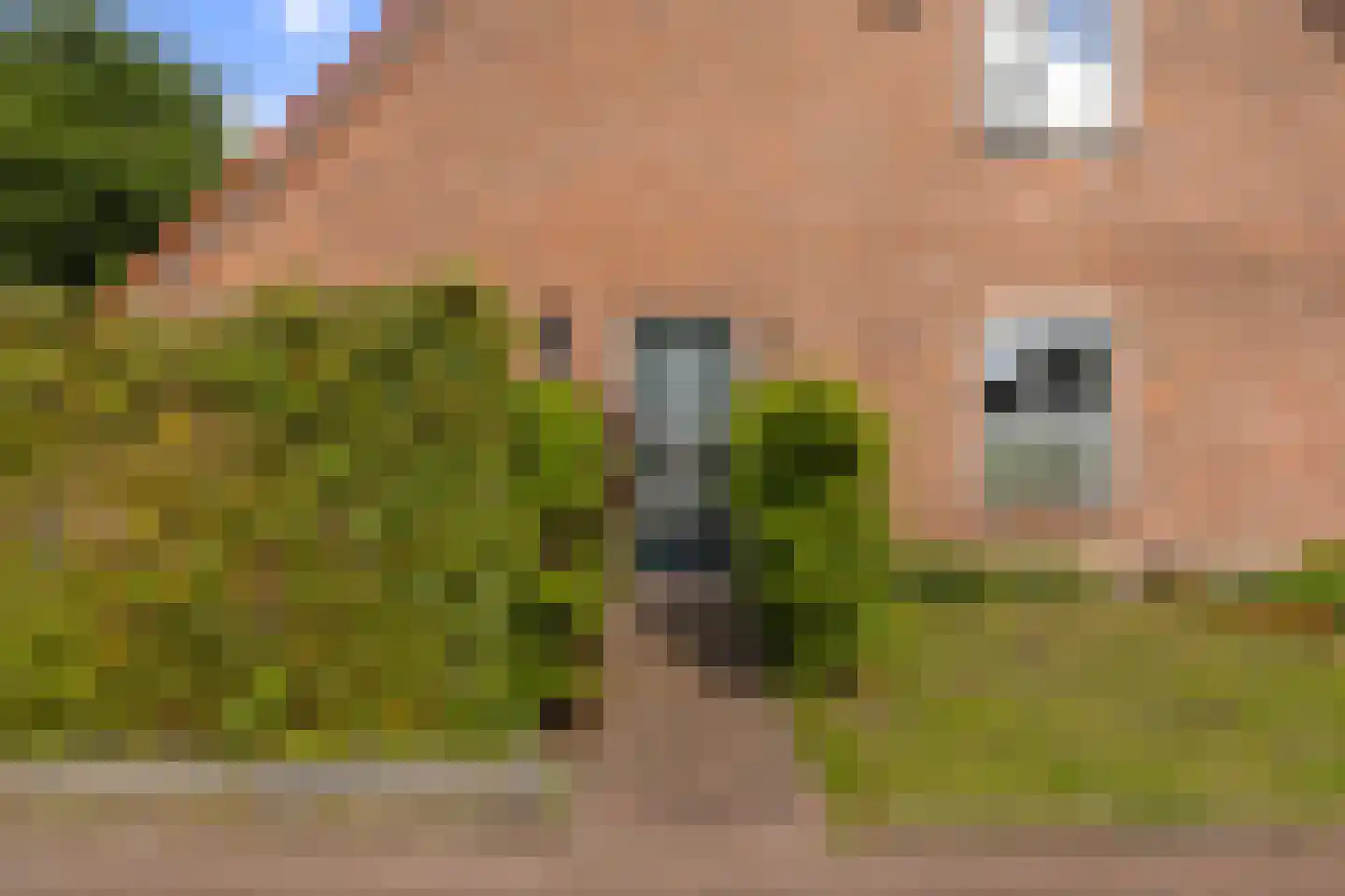 Klein Frankrijk 1 Zuidhorn thumbnail 4
