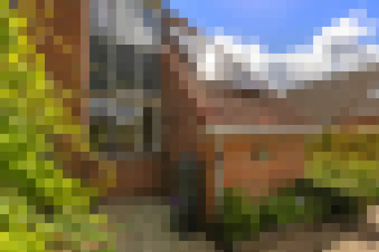 Klein Frankrijk 1 Zuidhorn thumbnail 40