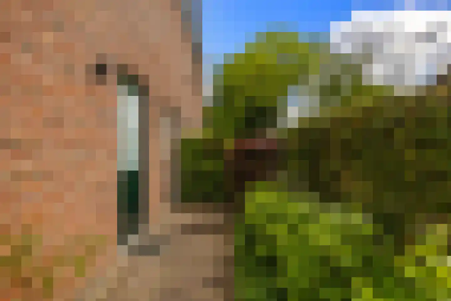 Klein Frankrijk 1 Zuidhorn thumbnail 41
