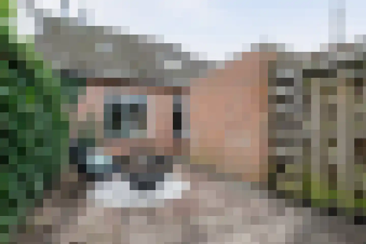 Klein Frankrijk 5 Zuidhorn thumbnail 37