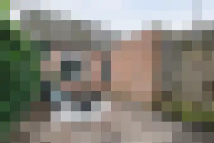 Klein Frankrijk 5 Zuidhorn thumbnail 37