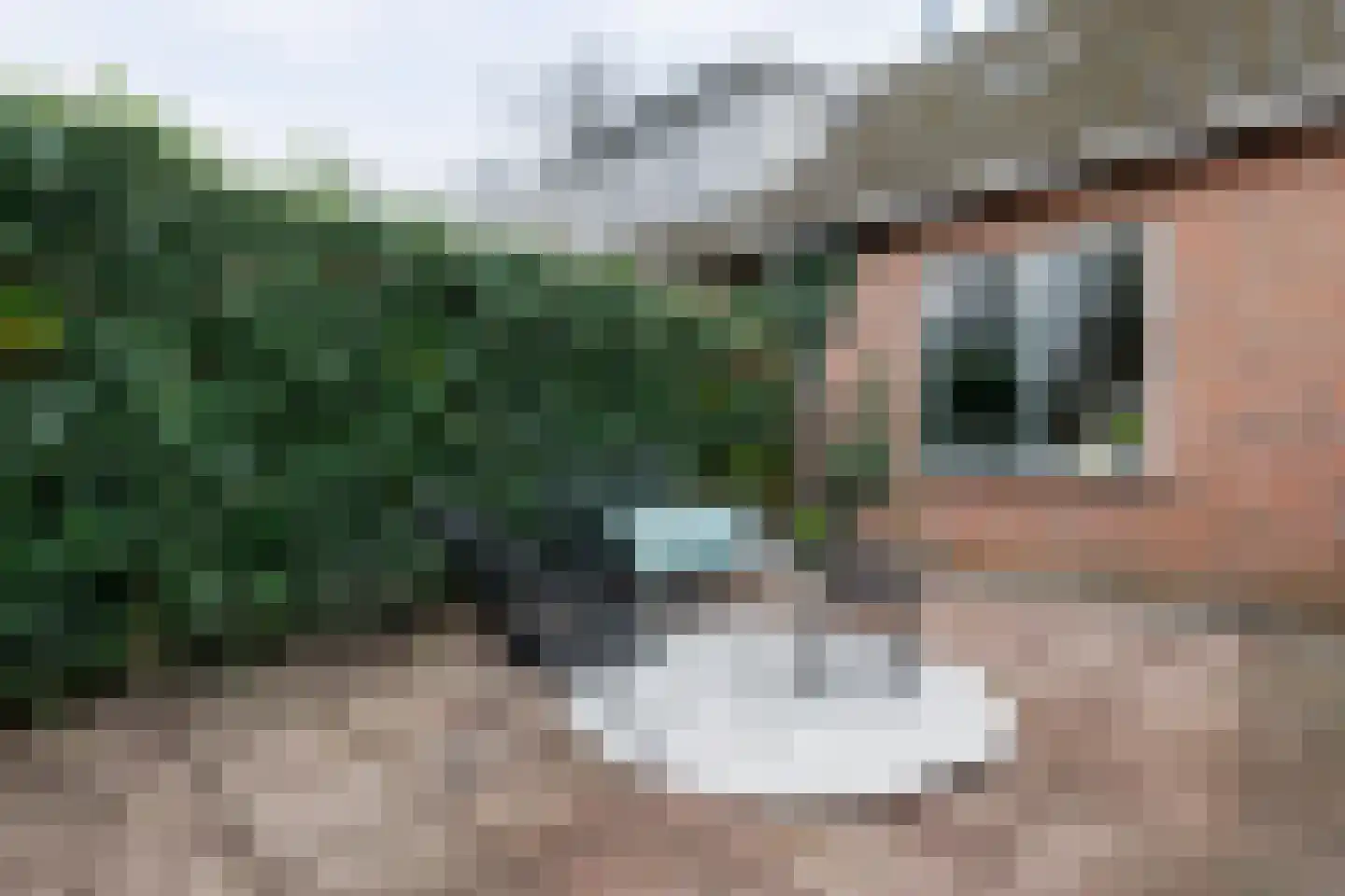 Klein Frankrijk 5 Zuidhorn thumbnail 38