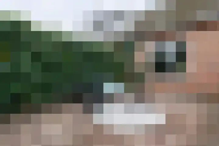 Klein Frankrijk 5 Zuidhorn thumbnail 38