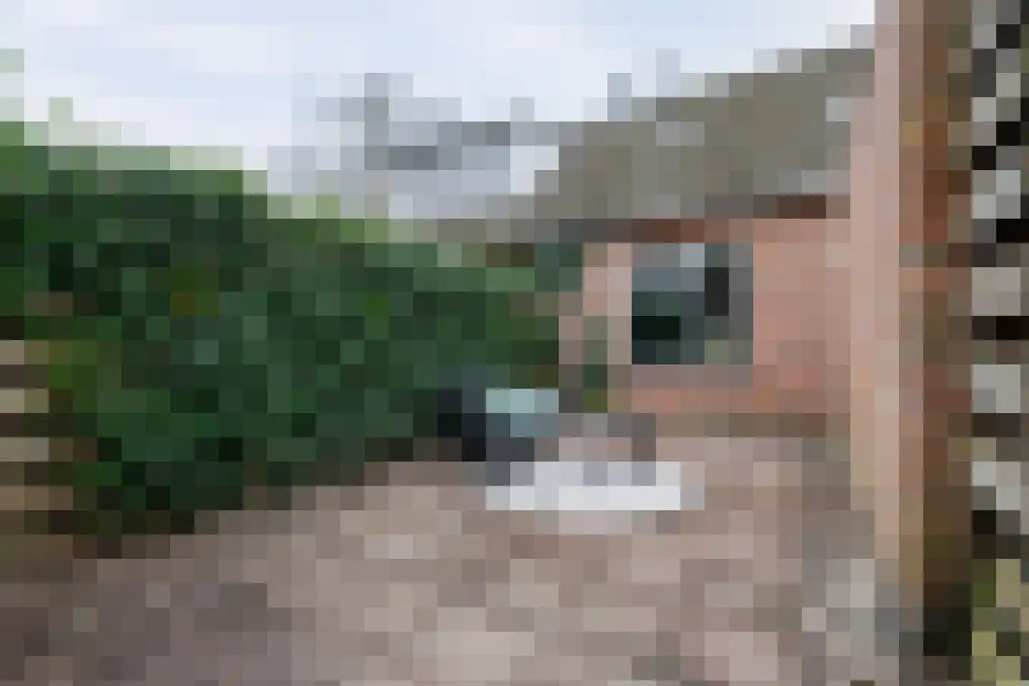 Klein Frankrijk 5 Zuidhorn thumbnail 4
