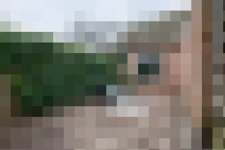 Klein Frankrijk 5 Zuidhorn thumbnail 4